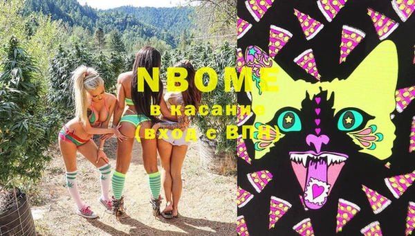 стаф Балахна