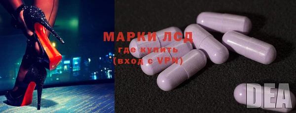 стаф Балахна