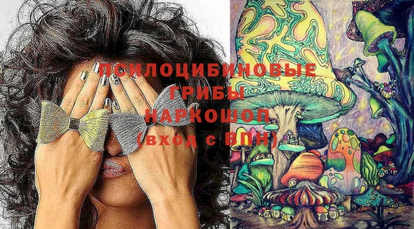 стаф Балахна