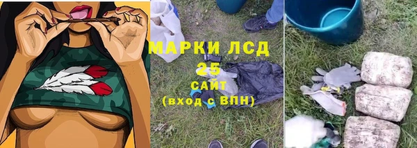 стаф Балахна