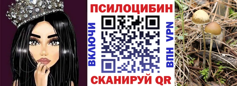 Псилоцибиновые грибы ЛСД  купить   кракен ONION  Баксан 