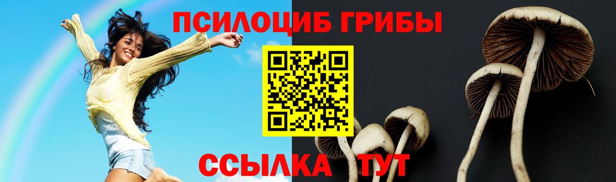 Баксан  Галлюциногенные грибы ЛСД  Вход с VPN 